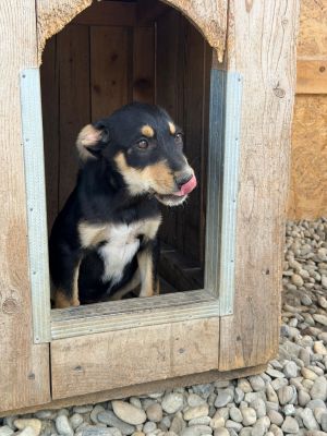 WhatsApp Image 2026 06 16 at 21.42.13