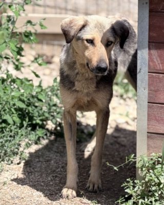 Fiona