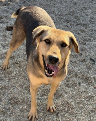 Fiona