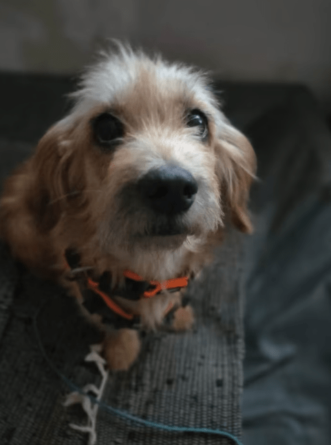 2026 09 08 09 19 02 Aktivität Haverich, Timo Microsoft Teams