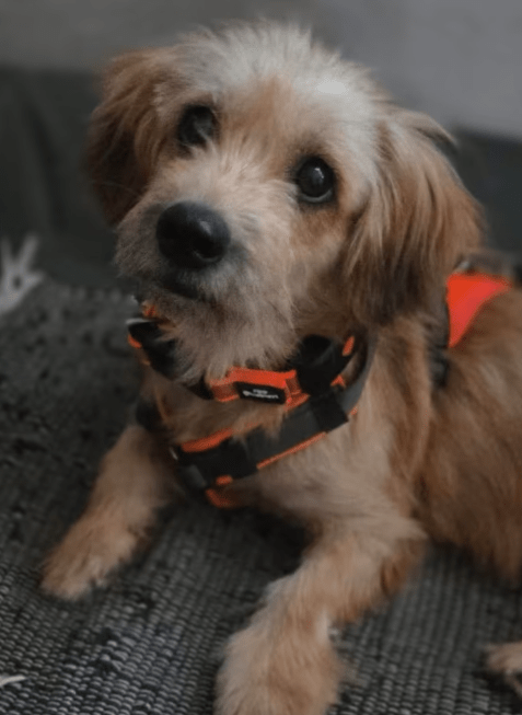 2026 09 08 09 19 13 Aktivität Haverich, Timo Microsoft Teams