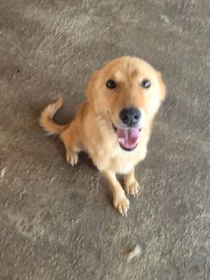 776163817 28062924206681473 3417149115018734920 n