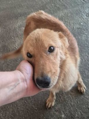778124201 28062925470014680 6937802200987133533 n
