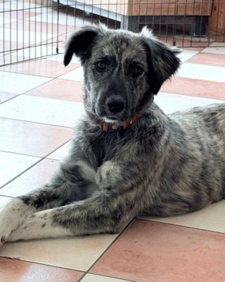 Lucia (BV)