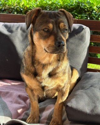 Jana (BV)