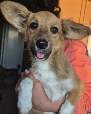Jerry
