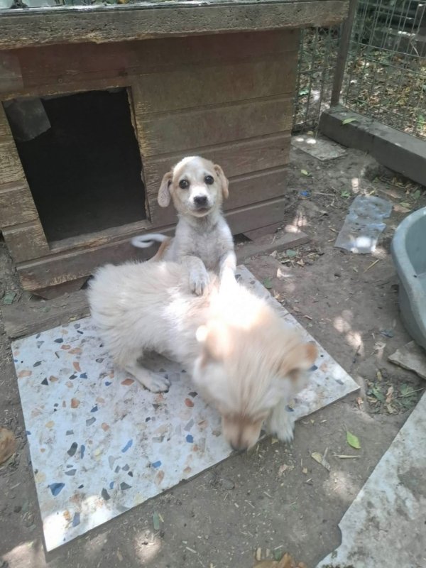 WhatsApp Image 2026 09 06 at 15.39.17 (2)
