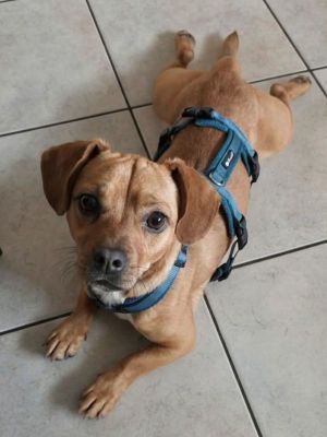 Duke3
