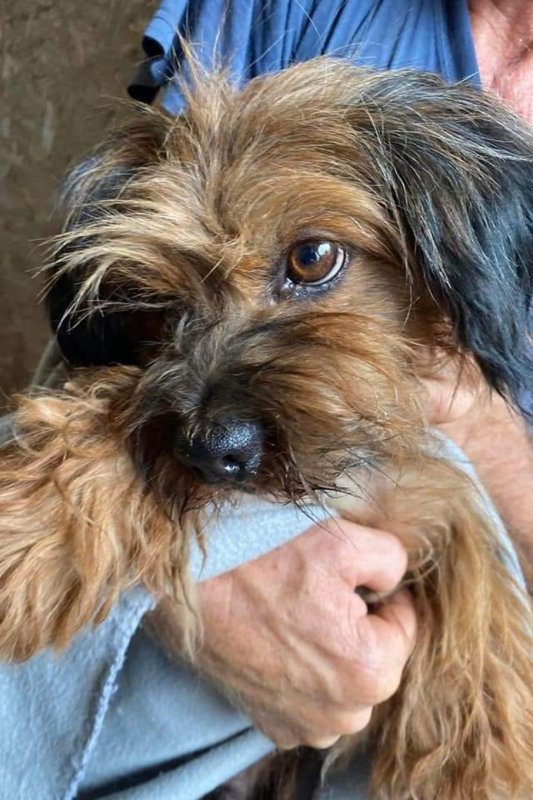 Nanouk – Glücksfellchen Tierhilfe e.V.